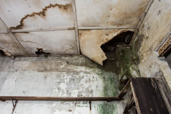 Water Damage Service in Palm City