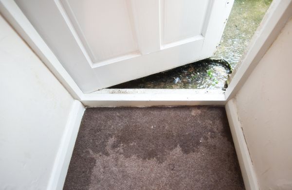 Wet Carpet Restoration in Palm City