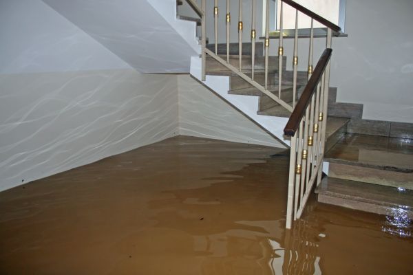 Storm Damage Restoration in Palm City