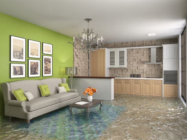 Wet Carpet Drying in Palm City