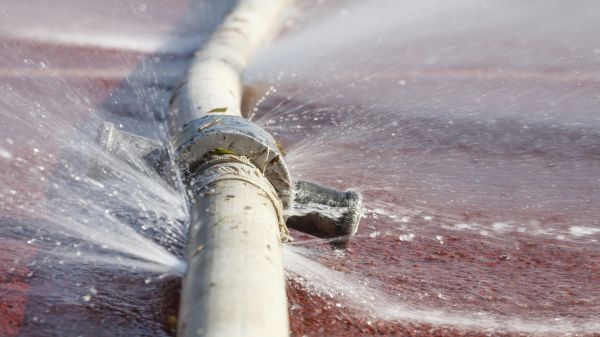 Burst Pipe Cleanup in Palm City
