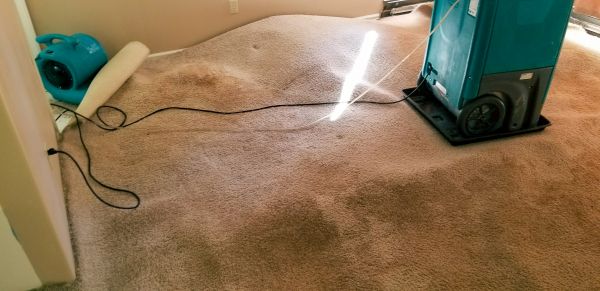 Flood Damage Cleanup in Palm City