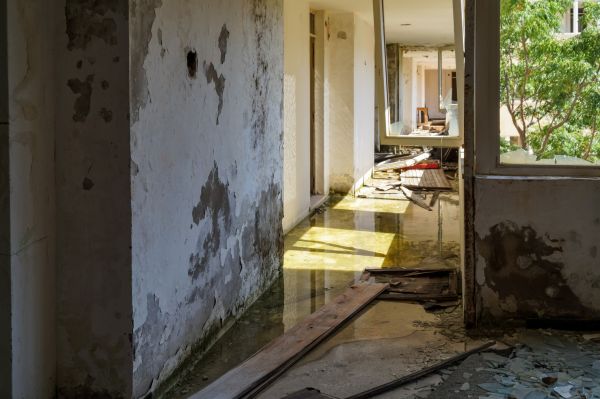 Water Removal Service in Palm City
