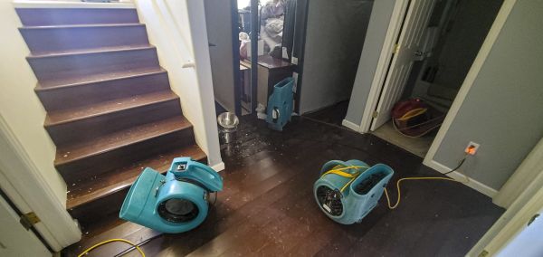 Water Damage Remediation in Palm City