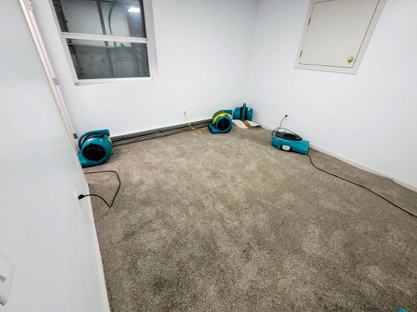 Cost of Flood Restoration Service in Palm City