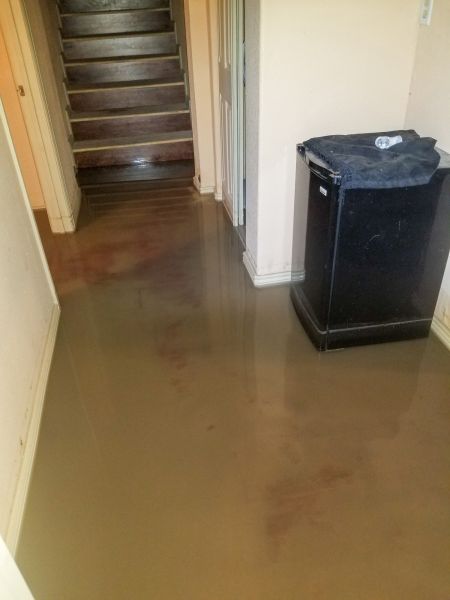 Emergency Water Removal in Palm City