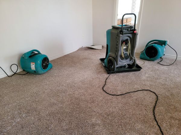 Water Damage Repair in Palm City