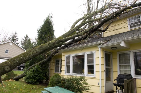 Hurricane Damage Repair in Palm City