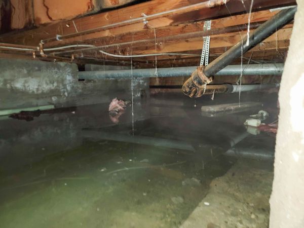 Crawlspace Water Restoration in Palm City
